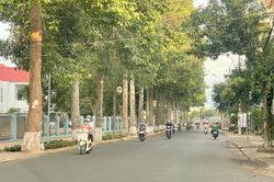 Nhiều tuyến đường ở thành phố Buôn Ma Thuột 'quên' kẻ vạch, phân làn