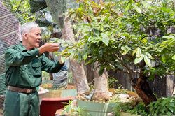 Nguyễn Văn Hải: Cựu chiến binh năng động, sáng tạo