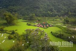 Ninh Bình phát triển du lịch gắn với bảo tồn đa dạng sinh học