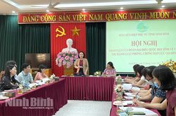 Khảo sát việc thực hiện Luật Phòng, chống bạo lực gia đình