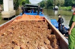 Tạm giữ 12 phương tiện đường thủy vận chuyển đất ruộng trái phép