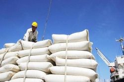 Xuất khẩu gạo sang EU trong 4 tháng đầu năm 2022 đạt trên 30.000 tấn nhờ EVFTA
