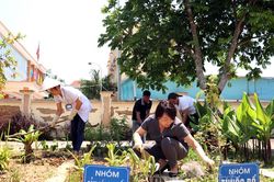 Nhân rộng vườn thuốc nam tại các trạm y tế xã