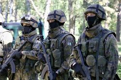 Nga cảnh báo phản ứng với việc Phần Lan xin gia nhập NATO