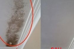 Trần nhà bị mốc đen, giải quyết nhanh gọn trong 5 phút bằng nguyên liệu sẵn có ở bếp