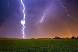 Thừa Thiên Huế: Một thanh niên không may bị sét tử vong khi đang gặt lúa