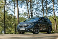Honda CR-V 'vượt' Mazda CX-5 ở phân khúc crossver hạng C