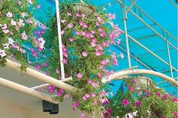Đời sống Biến tấu với vườn treo