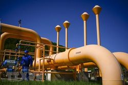Chính phủ Bulgaria thông qua kế hoạch trợ giá năng lượng