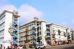 Nghệ An trao 2 quyết định chấp thuận đầu tư dự án nhà ở xã hội trong khu công nghiệp Nam Cấm