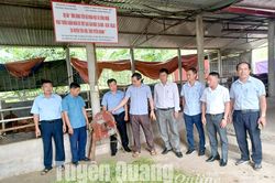 Kiểm tra, đánh giá dự án khoa học công nghệ