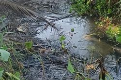 Người vợ khai giết, dìm xác chồng vì 'hay nhậu nhẹt, đánh đập'