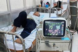 Người đàn ông bị ong mặt quỷ chích nguy kịch