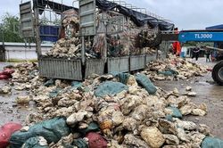 Huế: Phát hiện công ty cao su xả thải gây ô nhiễm môi trường