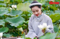 Sen trắng vào mùa, giới trẻ Hà Nội đổ xô ra ngoại thành 'sống ảo'