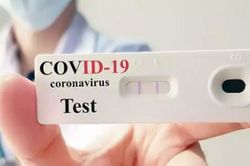 Ngày 17/5: Có 1.785 ca mắc COVID-19 mới; 4 trường hợp tử vong