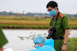 Bắt giữ người phụ nữ giết chồng