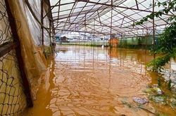 Lâm Đồng: Hàng chục nhà dân ngập nặng sau cơn mưa chiều