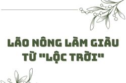 Lão nông làm giàu từ 'lộc trời'
