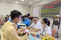 30 doanh nghiệp tham gia sàn giao dịch việc làm cho thanh niên năm 2022