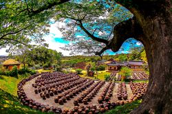Hàn Quốc chính thức cấp visa du lịch cho du khách quốc tế từ 1.6