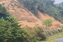Thủ tướng chỉ đạo xử lý nghiêm tình trạng phá rừng, lấn chiếm đất rừng trái pháp luật