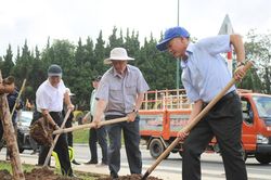 Lâm Đồng phát động trồng rừng, trồng cây phân tán