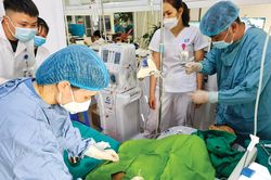 Học và làm theo Bác để trưởng thành, cống hiến tốt hơn