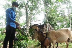 Thanh niên Vân Kiều vượt khó làm kinh tế giỏi