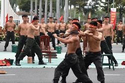 Khai mạc Hội thi Điều lệnh, bắn súng, võ thuật CAND bảng thi số 5