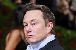 Elon Musk bị tố quấy rối tình dục tiếp viên hàng không