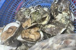 Kiểm tra đột xuất quán ăn bán hàu nướng có dòi