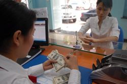 'Tỷ giá USD tăng chỉ mang tính thời điểm, sẽ ổn định trở lại'