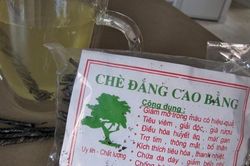 Chè đắng Cao Bằng có phải 'thần dược'?