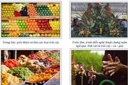 TPHCM: 180 gian hàng tham gia Tuần lễ trái cây 'Trên bến, dưới thuyền'