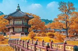 Hàn Quốc cấp lại visa du lịch ngắn hạn C-3