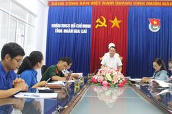 Câu lạc bộ Lý luận trẻ tỉnh Gia Lai sinh hoạt định kỳ quý II-năm 2022
