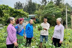 Chuyển đổi tư duy trong sản xuất nông nghiệp: Từ 'lượng' sang 'chất'