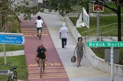 Singapore khuyến khích công dân đi bộ - đạp xe