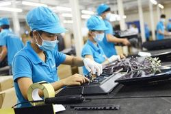 Doanh nghiệp, hợp tác xã, hộ kinh doanh chính thức được hỗ trợ 2% lãi suất