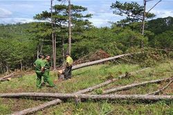 Dạng tội phạm mới cần xử nghiêm