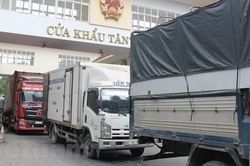 Khuyến cáo doanh nghiệp xuất khẩu nên sớm chuyển sang chính ngạch