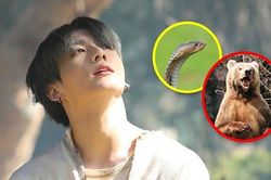 Lạc vào hoang dã thì thành viên BTS 'tèo sớm' vì không đủ khả năng sinh tồn