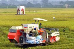 Triển khai kế hoạch vụ Mùa, vụ Đông năm 2022