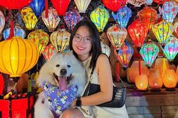 Chi hơn 30 triệu đồng đưa thú cưng đi du lịch 12 ngày