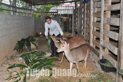 Các khu tái định cư được khoác áo mới