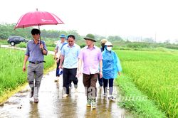 Lãnh đạo Sở Nông nghiệp và Phát triển nông thôn kiểm tra tình hình khắc phục mưa lũ