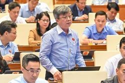 Đại biểu Trương Trọng Nghĩa yêu cầu đánh giá 'phí tổn và lợi ích' khi làm luật