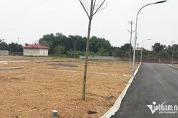 Giá đất ven đô lại 'nhảy múa' ăn theo quy hoạch đường Vành đai 4