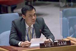 Việt Nam đồng tổ chức thảo luận về bảo vệ nguồn nước trong xung đột vũ trang